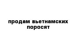 продам вьетнамских поросят